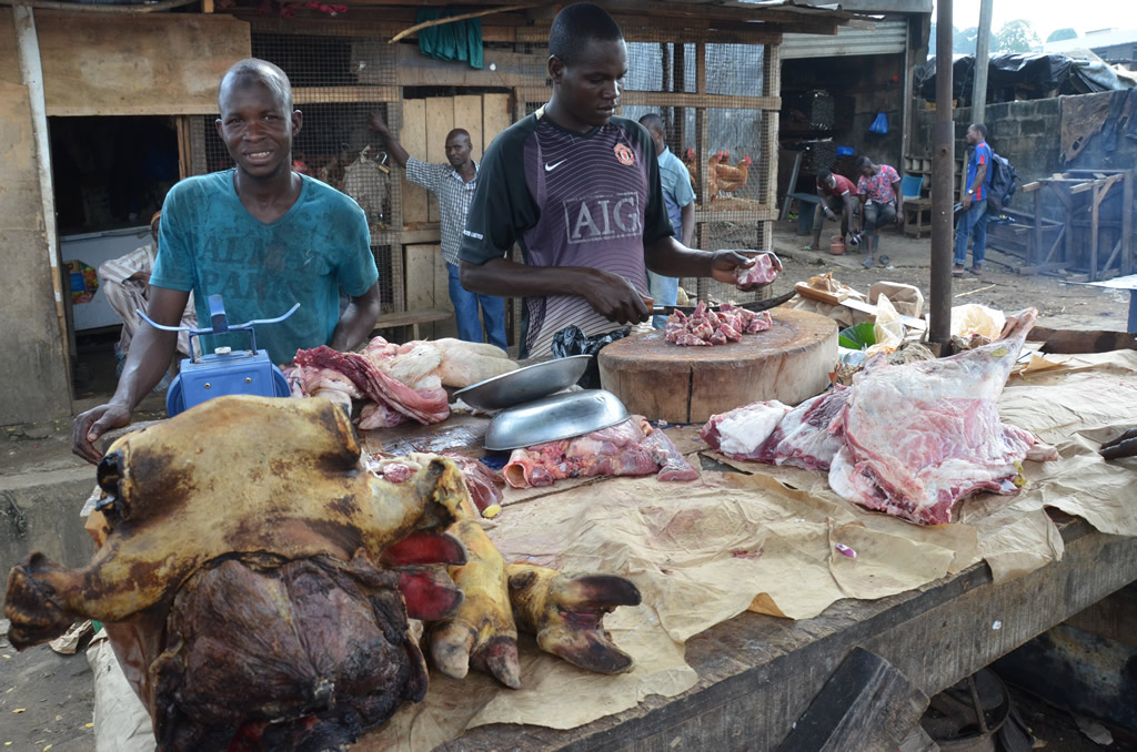 Dossier S�curit� alimentaire : la C�te d'Ivoire vise l'autosuffisance en prot�ines animales et halieutiques